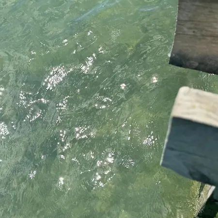 Apartment Lakehouse With Private Pier *